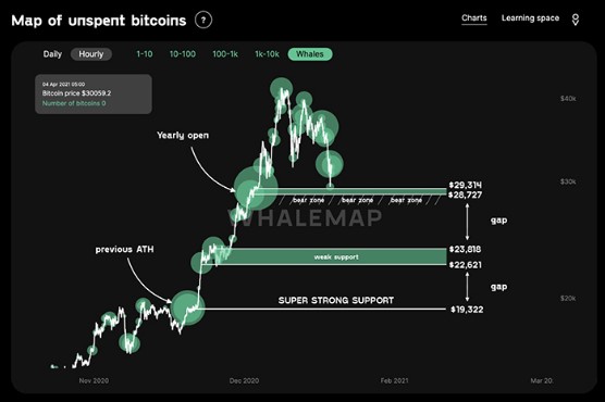 Biểu đồ các mức hỗ trợ cá voi Bitcoin